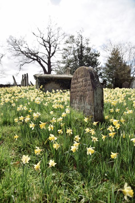 Beautiful Cemetery Gardens, Beautiful Graveyard, Pretty Graveyard, Spooky Spring, Autumn Graveyard, Beautiful Grave, Visiting Grave Aesthetic, English Cemetery, Old Graveyard