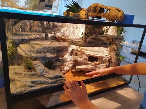 Uromastyx Lizard Enclosure, 20 Gallon Leopard Gecko Tank Ideas, Diy Reptile Enclosure, Uromastyx Lizard, Diy Bearded Dragon Enclosure, Leopard Gecko Habitat, Leopard Gecko Tank, Lizard Terrarium, Diy Reptile