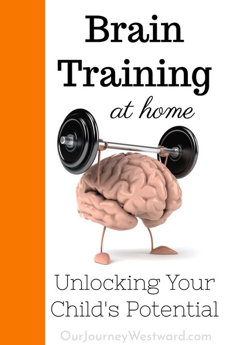 Brain Training: FUN Ways to Build Stronger and Faster Brains Auditory Processing Activities, Brain Based Learning, Brain Surgeon, Visual Processing, Training Activities, Dog Behavior Problems, Brain Training Games, Brain Gym, Physical Education Games