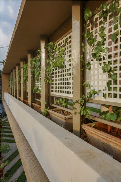 Saundha Gharaunda | Studio AVT | Haryana - Interiorlover Partition Design Ideas, Grill Wall, Modern Arabic Interior, Room Aesthetic Decor, Wall Partition Design, Terrace Garden Ideas, Compound Wall Design, Roof Garden Design, Wall Partition