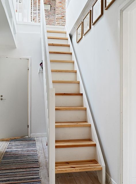 Narrow stairs up to an art studio or loft.....so cute Loft Staircase, Attic Staircase, Narrow Staircase, Attic Renovation Ideas, Loft Stairs, Small Attic, Attic Stairs, Attic Design, Attic Bathroom