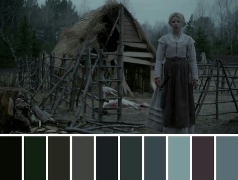 movie & film cinematography color palette Horror Film Color Palette, Horror Movie Colour Palette, Horror Movies Color Palette, Scary Colour Palette, Movie Color Palettes, Movie Palette Color, Horror Colour Palette, Cinematic Colour Palette, Cinematic Pallet