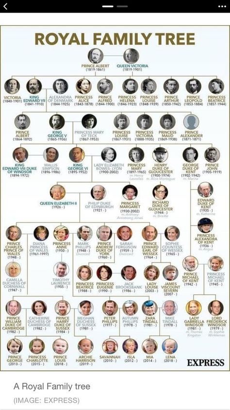 Royal Family Tree, British Royal Family Tree, Royal Family History, Queen Elizabeth Photos, Royal Family Trees, Scottish Ancestry, Knots Guide, English Royal Family, British Family