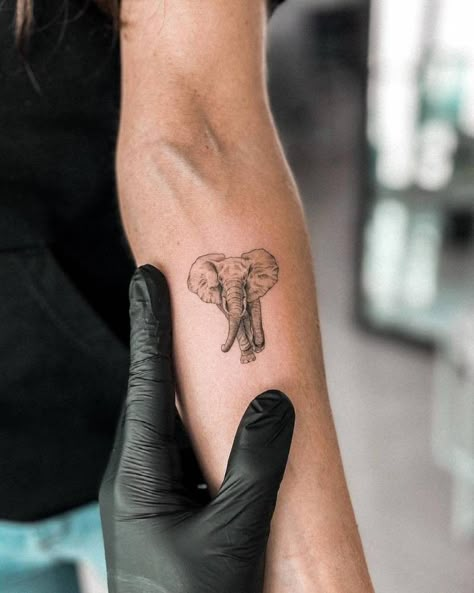 Elephant small tattoo Elephant Tattoo Back Of Arm, Elephant Tattoo On Forearm, Cool Elephant Tattoo, Micro Elephant Tattoo, Mini Tattoos Elephant, Elephant Tattoos Forearm, Elephant Arm Tattoo, Elephant Tattoos Arm, Mini Realistic Tattoo