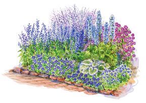 Russian Sage Blue Spring Flowers, Garden Front Of House, Theme Garden, Russian Sage, Delphinium Flowers, Garden Plan, Garden Plans, Rock Garden Landscaping, Blue Theme