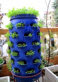 growing vegetables, plastic barrel ideas, drums Plastic Barrel Ideas, Plastic Barrel Planter, Vertical Vegetable Gardens, Planters Outdoor, Plastic Garden, Outdoor Garden Planters, Vertical Herb Garden, Vegetable Garden Diy, Barrel Planter