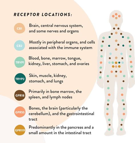 Classification Of Antibiotics, Cbd Benefits, Hemp Agrimony, Codominance Genetics, Cbd Oil Benefits Facts, Cbd Dog Treats, Endocannabinoid System, Cbd Hemp, Scientific Discovery