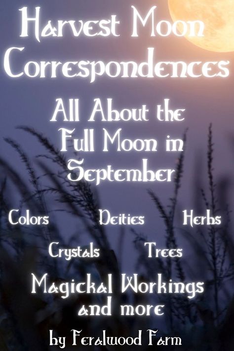 Learn about the Harvest Moon, September’s Full Moon. Learn about the history, alternative names, correspondences, and how to utilize its energy in your magickal workings. #witchcraft #fullmoon #magick #metaphysical Harvest Moon Correspondences, Harvest Moon Witchcraft, September 2024 Full Moon, September Full Moon Correspondences, Full Harvest Moon Spells, Harvest Moon Meaning, September Full Moon Ritual, September Full Moon 2024, Harvest Moon Crystals