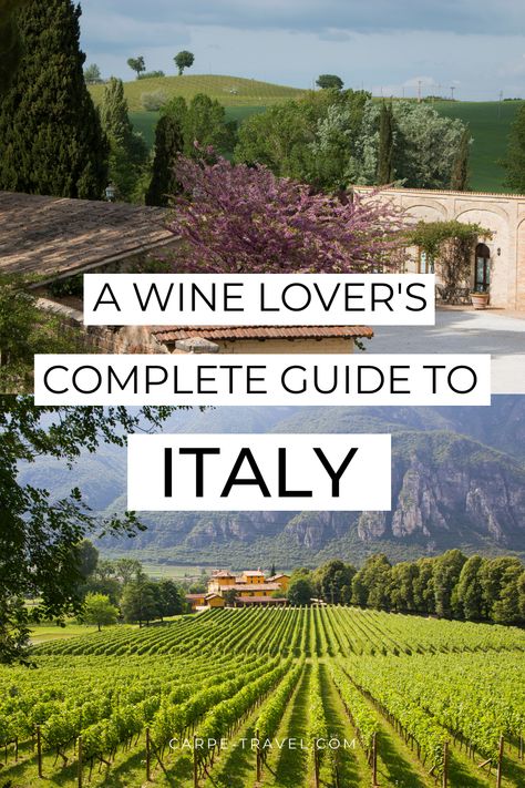 Take the guesswork out of buying little-known Italian wines by learning everything there is to know about the top wines from Italy. The Complete Guide to Italy's Best Wines takes you on a wine tasting tour through the various regions of Italy. Italian Wine Tasting, Italy Wine Country, Best Italian Wines, Tour Italy, Wine Tips, Italy Trip Planning, Wine 101, Italy 2023, Italian Wines