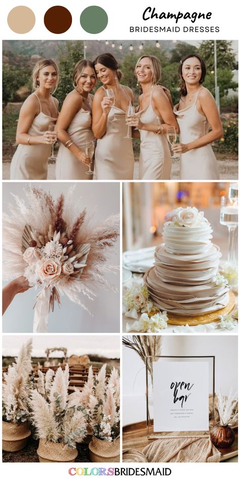 Champagne Colour Flowers, Champagne Rustic Wedding Theme, Sage White Champagne Wedding, Taupe Champagne Wedding, Champagne And Pampas Wedding, Safe And Champagne Wedding, Cream And Gold Wedding Theme, Champagne Colour Scheme Wedding, Cream Champagne Gold Wedding