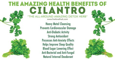 Benefits Of Cilantro, Cilantro Benefits, Detox Herbs, Tomato Nutrition, Calendula Benefits, Coconut Health Benefits, Natural Healing Remedies, Benefits Of Coconut Oil, Essential Nutrients