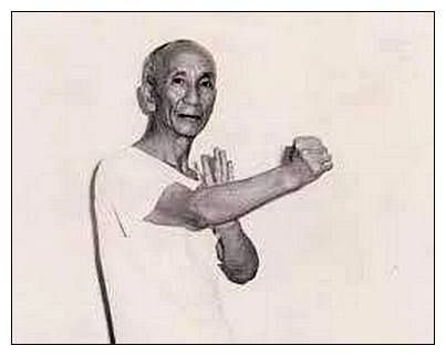 Yip Man Kuen Martial Arts Training Dummy, Wing Chu, Wing Chun Wooden Dummy, Types Of Martial Arts, Wing Chun Martial Arts, Bruce Lee Family, Arnold Schwarzenegger Bodybuilding, Bruce Lee Pictures, Wooden Dummy