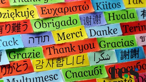 Here are the top 10 resources for European Day of Languages, grab them here now! #coeEDL #education European Day Of Languages, Language Evolution, Commonly Misspelled Words, Misspelled Words, European Languages, Language Barrier, All Languages, Learn A New Language, Language Activities