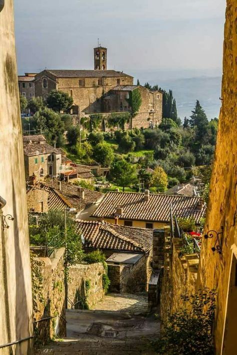 Montalcino, Tuscany, Italy Montalcino Italy, Italy Tourism, Italy Vibes, Brunello Di Montalcino, Tuscany Travel, Toscana Italia, Montecarlo Monaco, Montepulciano, Italy Tours