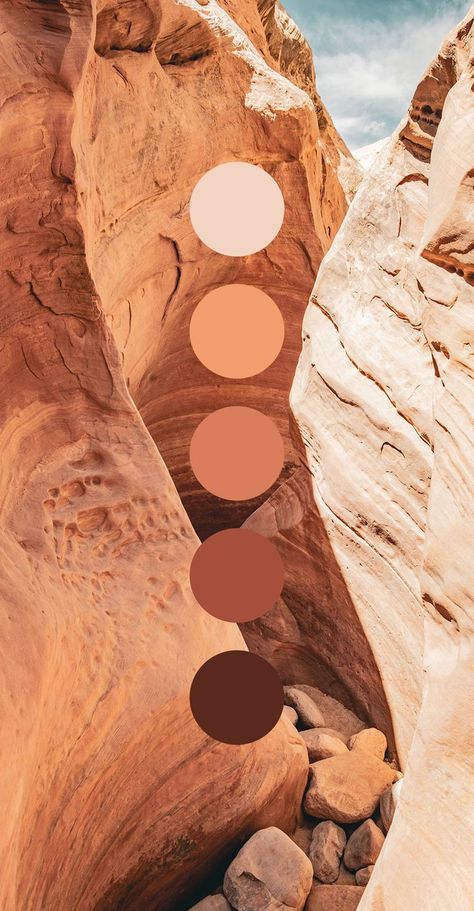 Colors Moodboard, Desert Color Palette, Nude Color Palette, Spanish Home Decor, Desert Colors, Color Vibe, Paint Color Palettes, Color Palette Design, Color Studies