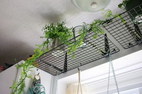 Plant Shelf DIY Using an Ikea GREJIG Shoe Rack Ikea Grejig Hack, Hanging Plant Shelf Diy, Grejig Ikea Hack, Ikea Plant Shelf, Ikea Plant Hanger, Plant Shelf Window, Plant Shelf Diy, Shelf Above Window, Kitchen Window Plants