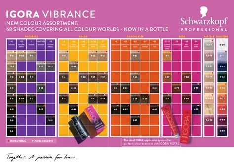 Discover Igora Vibrance Chart with 68 shades covering all colour worlds. Shop the full range at salonsdirect.com Igora Color Chart, Schwarzkopf Hair Color Chart, Igora Vibrance, Schwarzkopf Hair Color, Birth Colors, Perfect Hair Color, Hair Color Formulas, Hair Color Chart, Shampoo For Curly Hair