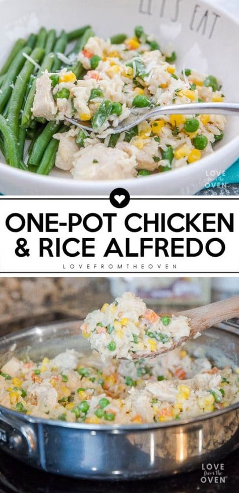 Easy One Pot Chicken And Rice Alfredo #easydinner #onepotmeals #onepotdinners #chickenandrice #ad Alfredo Chicken And Rice, Chicken And Rice Alfredo Recipes, Rice Alfredo, Alfredo Rice, One Pot Chicken And Rice, Alfredo Chicken, One Pot Dinners, One Pot Chicken, Dinner Chicken