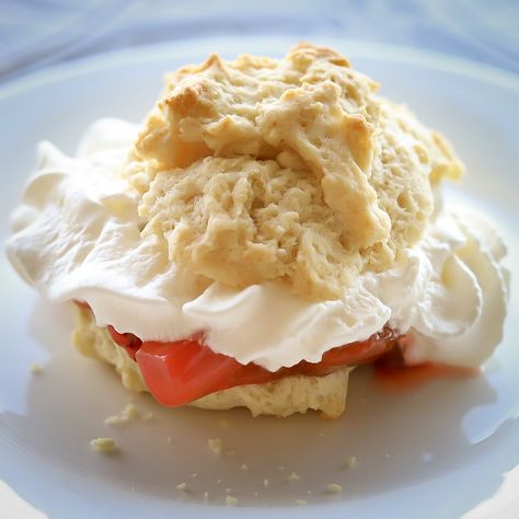 Ultimate Strawberry Rhubarb Shortcake - West Coast Kitchen Garden Rhubarb Shortcake, Peach Rhubarb, West Coast Kitchen, Strawberry Rhubarb Muffins, Sunday Dessert, Clafoutis Recipes, Coast Kitchen, Lavender Recipes, Yummy Desserts Easy