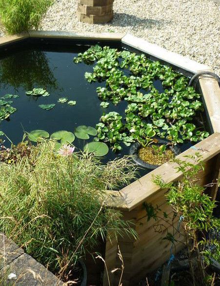 No-dig ponds: the best raised ponds ideas and kits for 2024 — Gardens Illustrated Raised Pond Ideas, Raised Ponds, Above Ground Pond, Ponds Ideas, Gardens Illustrated, Raised Pond, Desert Backyard, Ponds Backyard, New House Ideas