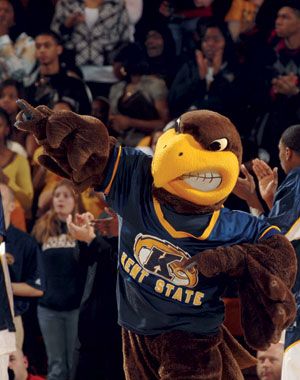 Golden Flash- Kent State University Eagle Costume, Brown Eagle, Kent Ohio, University Aesthetic, Ohio Girls, Eagle Mascot, Kent State University, Sette Nani, Black Owl