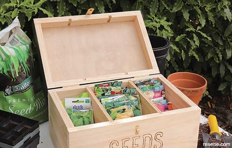 How to build a seed storage box Garden Seed Storage Ideas, Seed Box Diy, Seed Storage Ideas Diy, Seed Box Storage, Vegetable Seeds Packets, Wood Burning Pen, Seed Storage, Seed Box, Herb Gardening