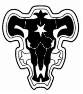 Black Bull Tattoo Black Clover, Black Bulls Tattoo Black Clover, Black Clover Symbol, Black Clover Magic, Black Bulls Black Clover, Black Clover Tattoo, Black Clover Black Bulls, Bull Symbol, Knight Squad