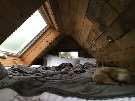 Stayed In A Tiny House Recently, This Was The Bed. Wonderful Place To Curl Up And Listen To The Rain Tiny Places Ideas, Attic Rooms, Tiny House Cabin, Aesthetic Rooms, Dream Room Inspiration, House Room, Cozy Room, Room Inspiration Bedroom, Cabins In The Woods