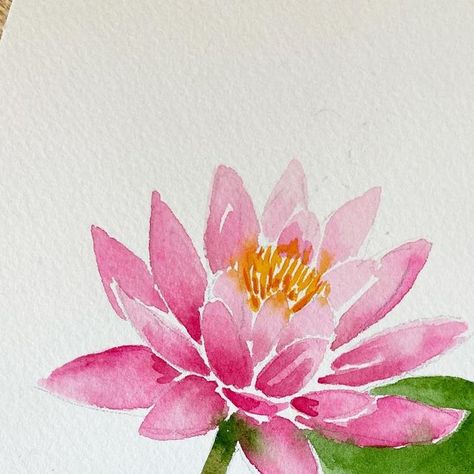 Carrie on Instagram: "Happy Sunday lovelies! Working on a fun floral project today. Will share some sneak peaks over the next few weeks. First up, this calming water lily. #watercolorflorals #loosewatercolor #looseflorals #wetinwet #wetinwetwatercolor #floralwatercolor #watercolorflowers #waterlily #waterlilyflower #lily #pinkflowers #lilypad #waterlilypainting #watercolorart #watercolorillustration" Waterlily Watercolor Painting, Watercolor Water Lily, Water Lily Colors, Water Lilly Watercolor, Waterlily Watercolor, Watercolor Lilies, Waterlily Drawing Simple, Lotus Flower Watercolor, Water Lily Flower Drawing