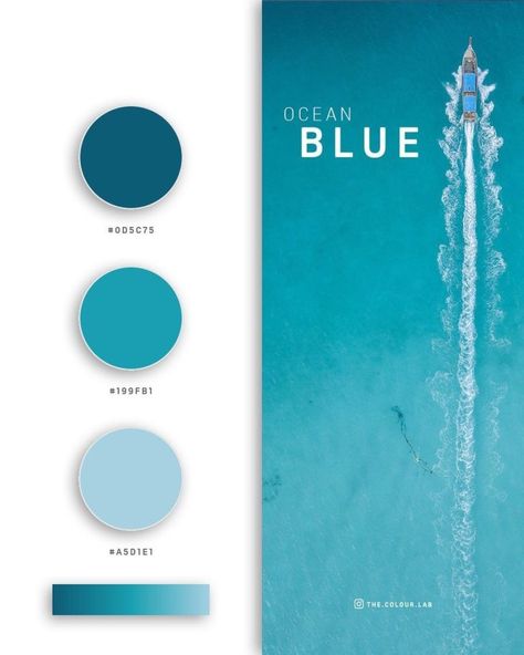 Urban Color Palette, Color Psychology Personality, Web Design Color, Flat Color Palette, Gradient Color Design, Website Color Palette, Color Design Inspiration, Web Colors, Blue Color Palette