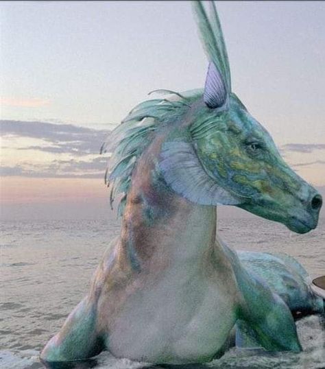 Mermaid Aesthetic, Sea Horse, Mythical Creatures Art, Mythological Creatures, Fantasy Aesthetic, Mermaid Art, Arte Fantasy, Heroes Of Olympus, Magical Creatures