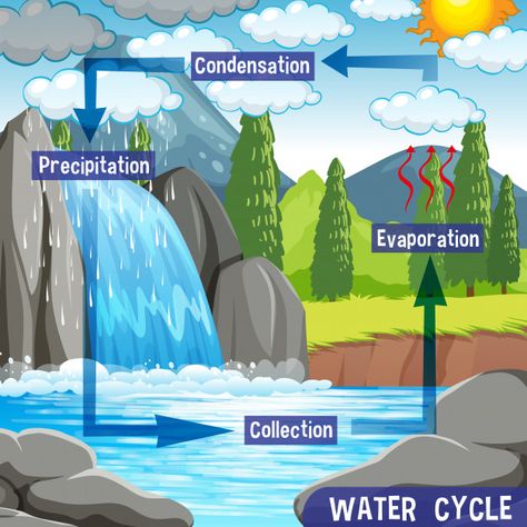 Water Cycle Process, Water Cycle Poster, Water Cycle Project, Water Cycle Diagram, Cycle Drawing, Nature Activity, The Water Cycle, Space Coloring Pages, Bts Black