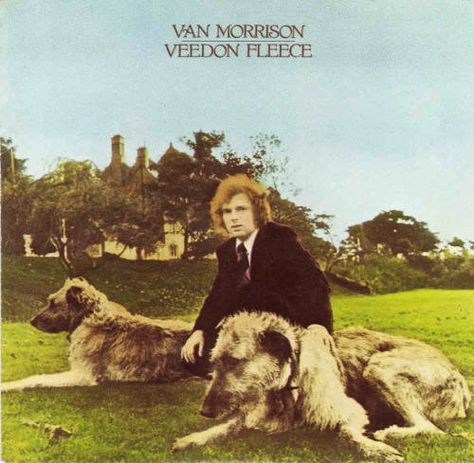 album cover by Van Morrison, Veedon Fleece Musica Disco, Van Morrison, Elvis Costello, Cat Stevens, Folk Rock, John Denver, William Blake, Lp Cover, Lynyrd Skynyrd