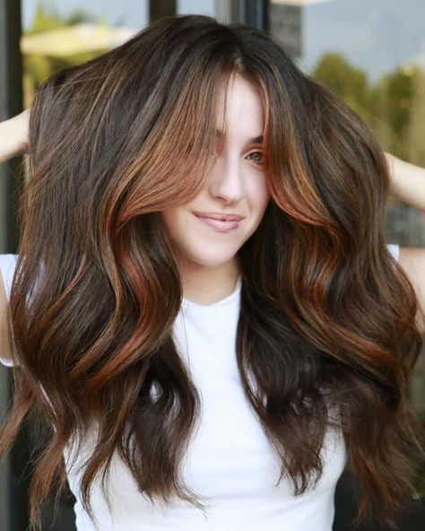 Dark Brown With Strawberry Highlights, Dimensional Brunette Copper, Copper Partial Highlights, Cowgirl Copper Highlights, Copper Glaze On Brown Hair, Caramel Copper Balayage Brunettes, Red Lowlights In Brown Hair, Warm Copper Balayage Brunette, Copper Highlights On Dark Hair