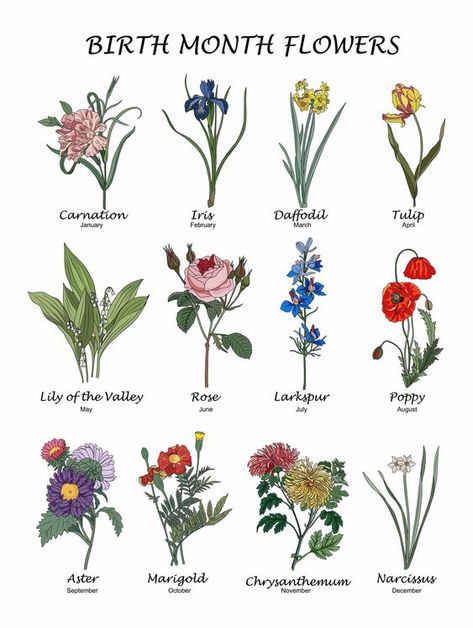 Do you know what your Birth Flower is? Get a meaningful Birth Flower Tattoo today. Wreath Arrangements, Birthmonth Flower, Flowers For Each Month, Flowers Of The Month, July Flower, November Flower, Birthday Month Flowers, May Flower, December Birth Flower