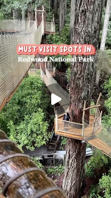 The Front Porch on Instagram: "Trees of Mystery is a park and tourist attraction along U.S. Route 101 near the coastal town of Klamath, California. It features interpretive trails through Giant Redwoods and a number of unusual tree formations, many of which can be seen from its Trail of Mysterious Trees!! 🌲 

📸 @simplyjesss

#wildcalifornia #rawcalifornia #wildbayarea #visitcalifornia #westcoast_exposures #californiaholics #california_igers #california4fun #ignorcal #californiacaptures #conquer_ca #explorecalifornia #caligrammers #feedbacknation #californialove #californiaadventure
#unlimitedcalifornia #humboldtcounty #redwoods #skywalk #redwoodscalifornia #californiaroadtrip #adventuretravel #explorenorcal" Klamath California, Trees Of Mystery, Cheap Destinations, Redwoods California, Places To Visit In California, Sky Walk, Long Weekend Trips, Redwood National Park, Visit California