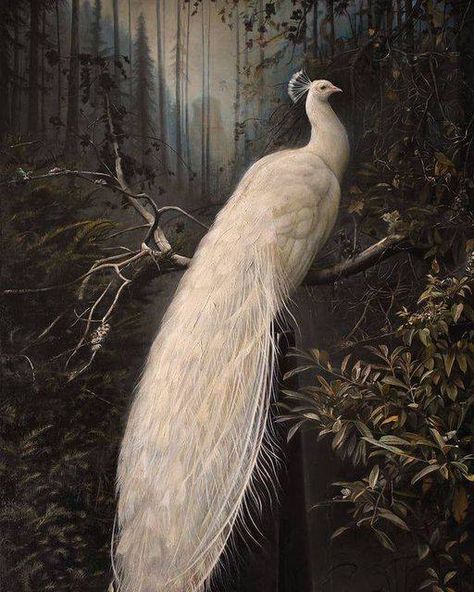 Thomas Darnell, Kevin Sloan, God Oc, Natasha Newton, Metamodernism, 19th Century Aesthetic, Peacock Artwork, Josh Brown, Western Pinup