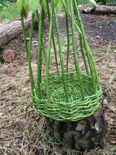 Bramble Basket, Corn Dollies, Craft Basket, Gloved Hands, Natural Crafts, Weaving Diy, Corn Dolly, Shtf Survival, Plant Activities