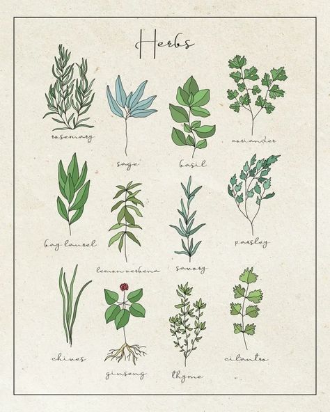 Herb Charts Free Printable, Farmhouse Kitchen Art, Kitchen Posters Printable Free, Cottage Core Posters, Free Botanical Printables, Kitchen Posters Printable, Vintage Herbs, Kitchen Printables Free, Herbs Poster