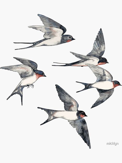 Barn Swallow, Watercolor Illustrations, Swallows, In Flight, Window Stickers, A Pattern, Watercolor Illustration, Top Artists, Sticker Design