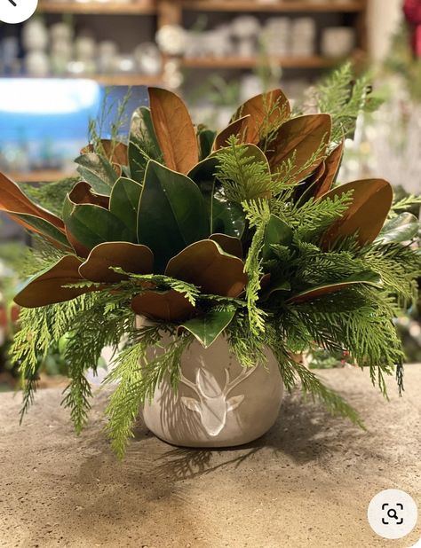 Magnolia Greenery Wedding, Christmas Small Centerpieces, Magnolia Leaf Centerpiece, Terra Cotta Christmas, Magnolia Leaves Centerpiece, Magnolia Leaves Christmas, Evergreen Planters, Greenery Centerpieces, Boxwood Wreaths