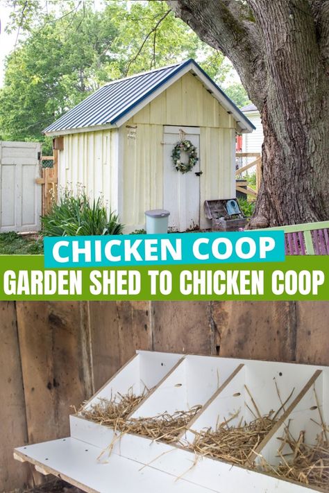 Chicken Coop Garden Shed, How To Turn A Shed Into A Chicken Coop, Old Shed Chicken Coop, Turning Shed Into Chicken Coop, Chicken Coop With Storage Room, Shed To Coop Conversion, Big Chicken Coop Ideas, Metal Shed Chicken Coop, Shed Chicken Coop Conversion