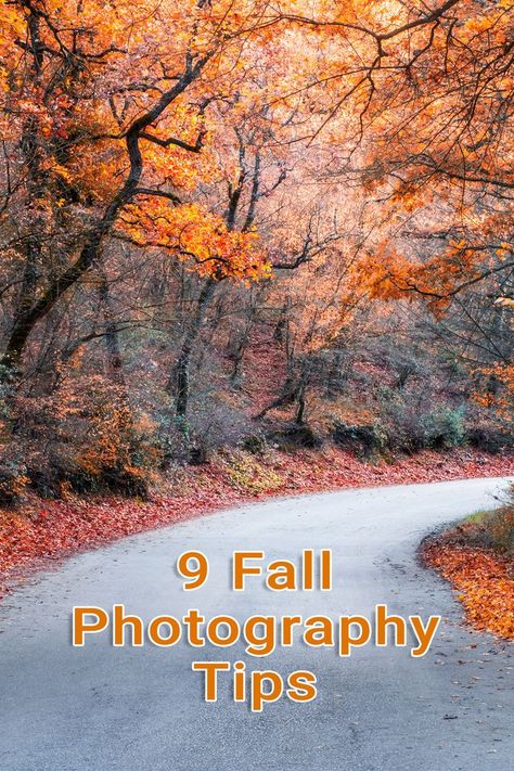 Fall Photoshoot Camera Settings, Nature Photography Cheat Sheet, Fall Photography Camera Settings, Night Photography Settings Cheat Sheets, Night Photography Tips Canon, Fall Foliage Photography, Fall Foliage Pictures, Photography Cheat Sheets, Photography Skills