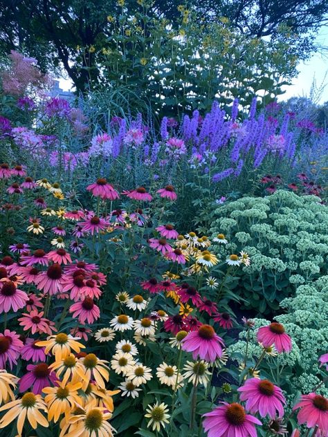 Anemone Garden Ideas, Wild Flowers Pictures, Flower Garden Photos, Beautiful Gardens Magical, Wild Flower Garden Ideas, Wildflower Garden Front Yard, Wildflower Landscaping, Wildflower Garden Ideas, Backyard Wildflower Garden