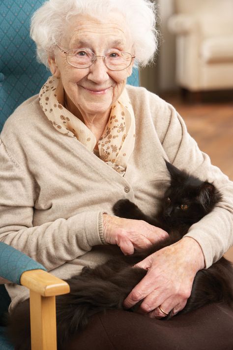 Therapeutic Recreation, Recreation Therapy, Senior Care, Elderly Care, Old Woman, Alzheimers, Cat Care, Caregiver, Home Care