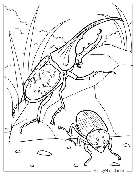 20 Beetle Coloring Pages (Free PDF Printables) Rock Top View, Beetle Coloring Page, Insects Coloring Pages, Goliath Beetle, Hercules Beetle, Insect Coloring Pages, Leaf Beetle, Leaf Coloring Page, Tiny Creatures