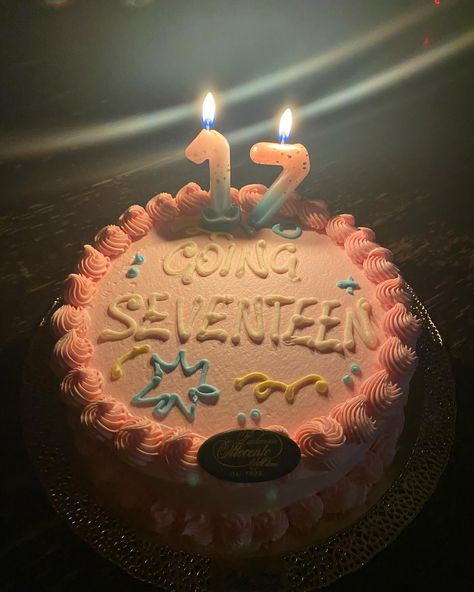 going seventeen cake Seventeen Themed Cake, Going Seventeen Cake, Seventeen Cake, Enhypen Seventeen, Seventeen Birthday, Cake Bouquet, Seventeenth Birthday, Birthday Inspo, Cake Inspo