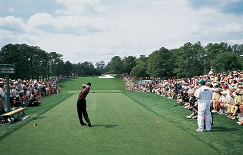 Tiger Woods won the 2001 Masters with a 16 under par score of 272. Golf Tiger Woods, Pro Golfers, Vintage Tiger, Augusta National, Room Prints, Golf Brands, Golf Gear, Luxe Life, Tiger Woods