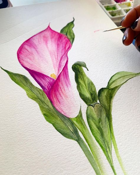 @petiteprocrastinator’s Instagram post: “This is what I painted today during Instagram Live.. It was a fun 1 hour spent with you guys! You can check my IGTV for the video. .” Pencil Colour Painting, Lilies Drawing, Oil Pastel Drawings Easy, Learn Watercolor Painting, Butterfly Art Painting, Abstract Art Painting Techniques, Color Drawing Art, Thanks Everyone, Watercolour Inspiration