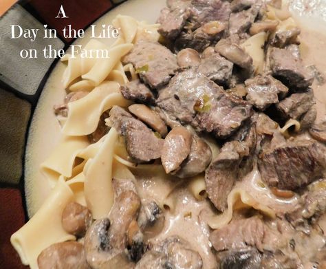 Leftover Filet Mignon, Beef And Mushroom Stroganoff, Filet Mignon Recipes Grilled, Beef Mushroom Stroganoff, Beef With Vegetables, Chuck Steak Recipes, Stroganoff Beef, Filet Mignon Recipes, Beef Filet